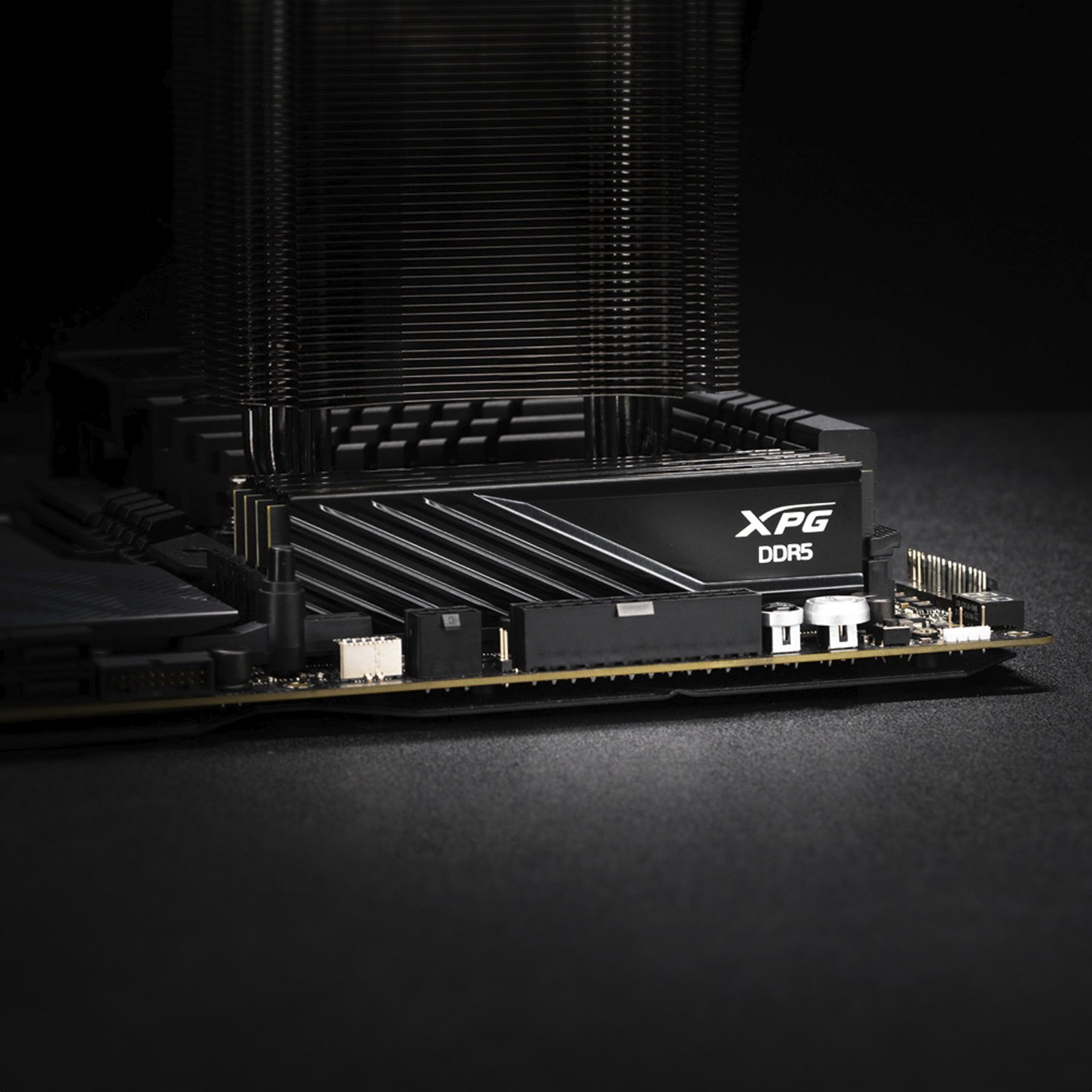 ADATA DIMM DDR5-6000 Negro, 16 GB 16 GB - Imagen 4