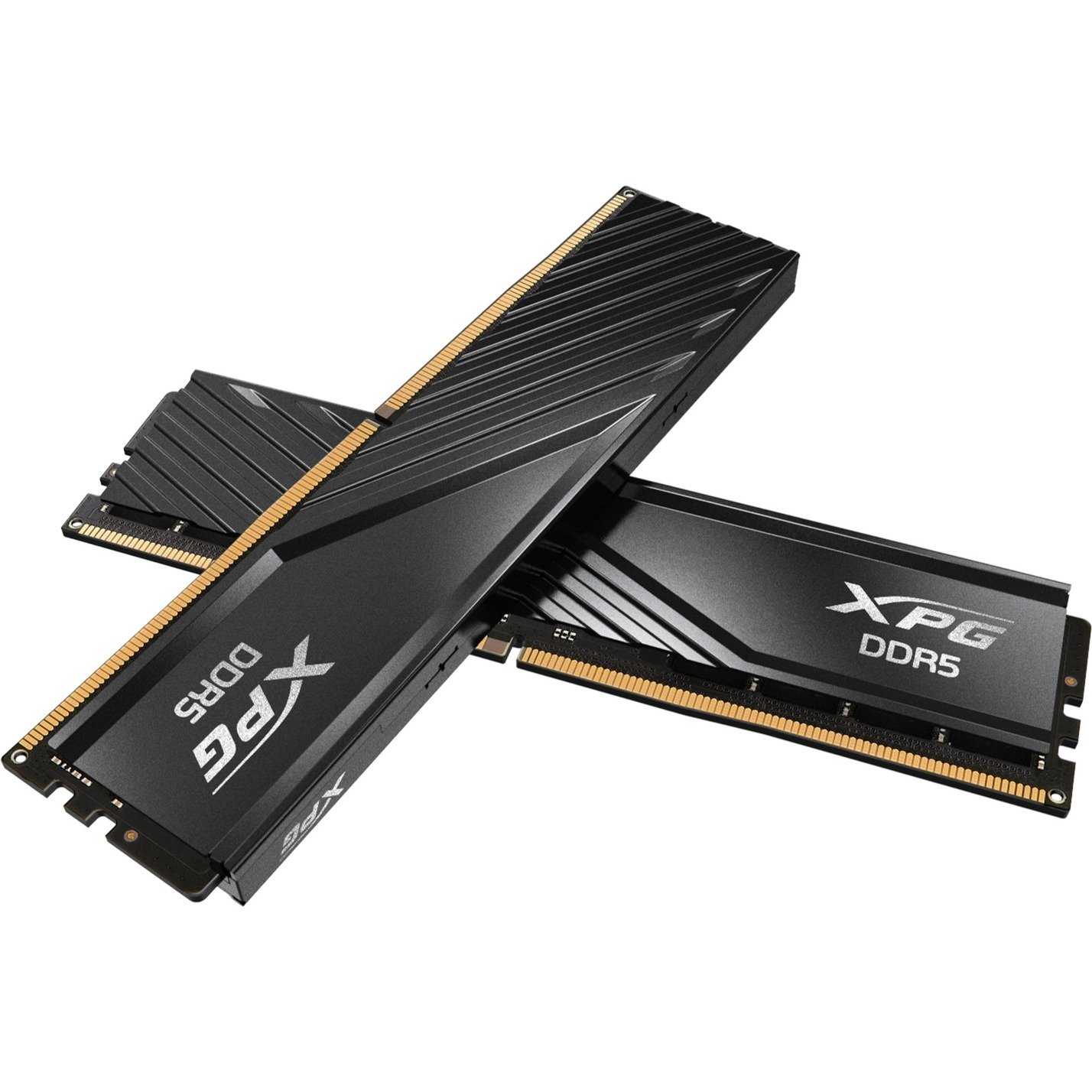 ADATA DIMM DDR5-5600 (2x ) Dual-Kit Negro, 32 GB 32 GB - Imagen 3