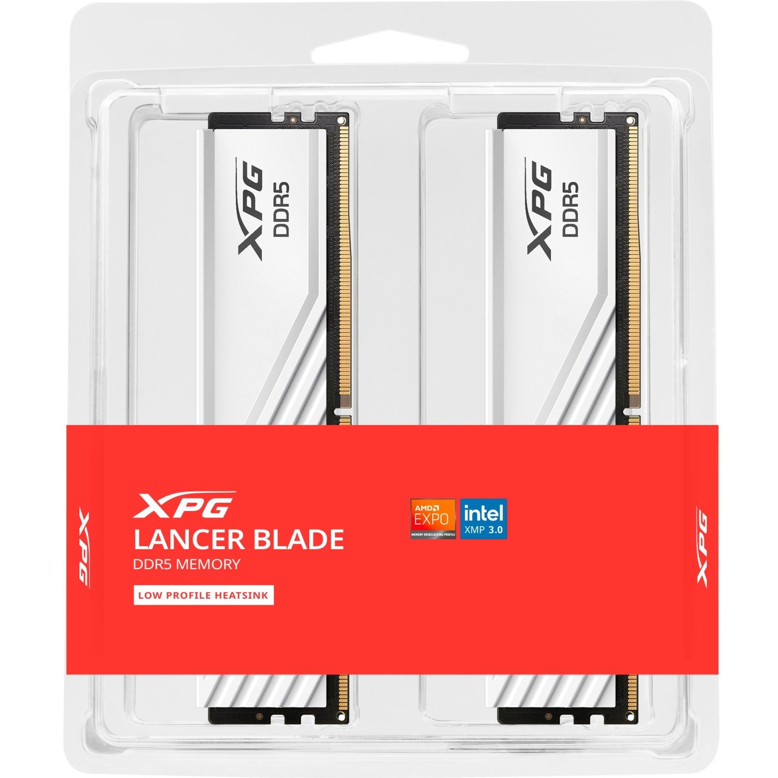 ADATA DIMM DDR5-6000 (2x ) Dual-Kit Blanco, 32 GB 32 GB - Imagen 4
