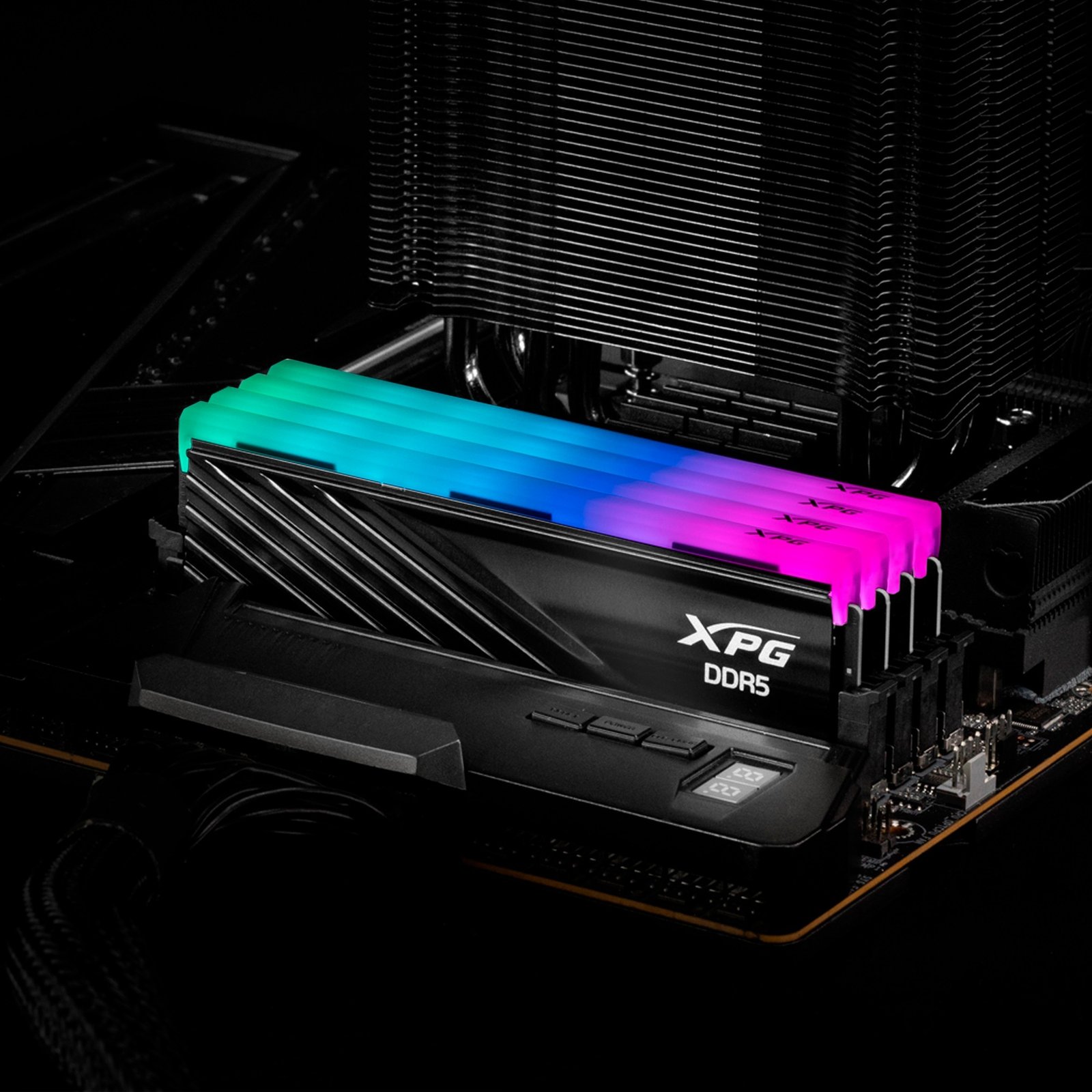 ADATA DIMM DDR5-6000 (2x ) Dual-Kit Negro, 32 GB 32 GB - Imagen 5