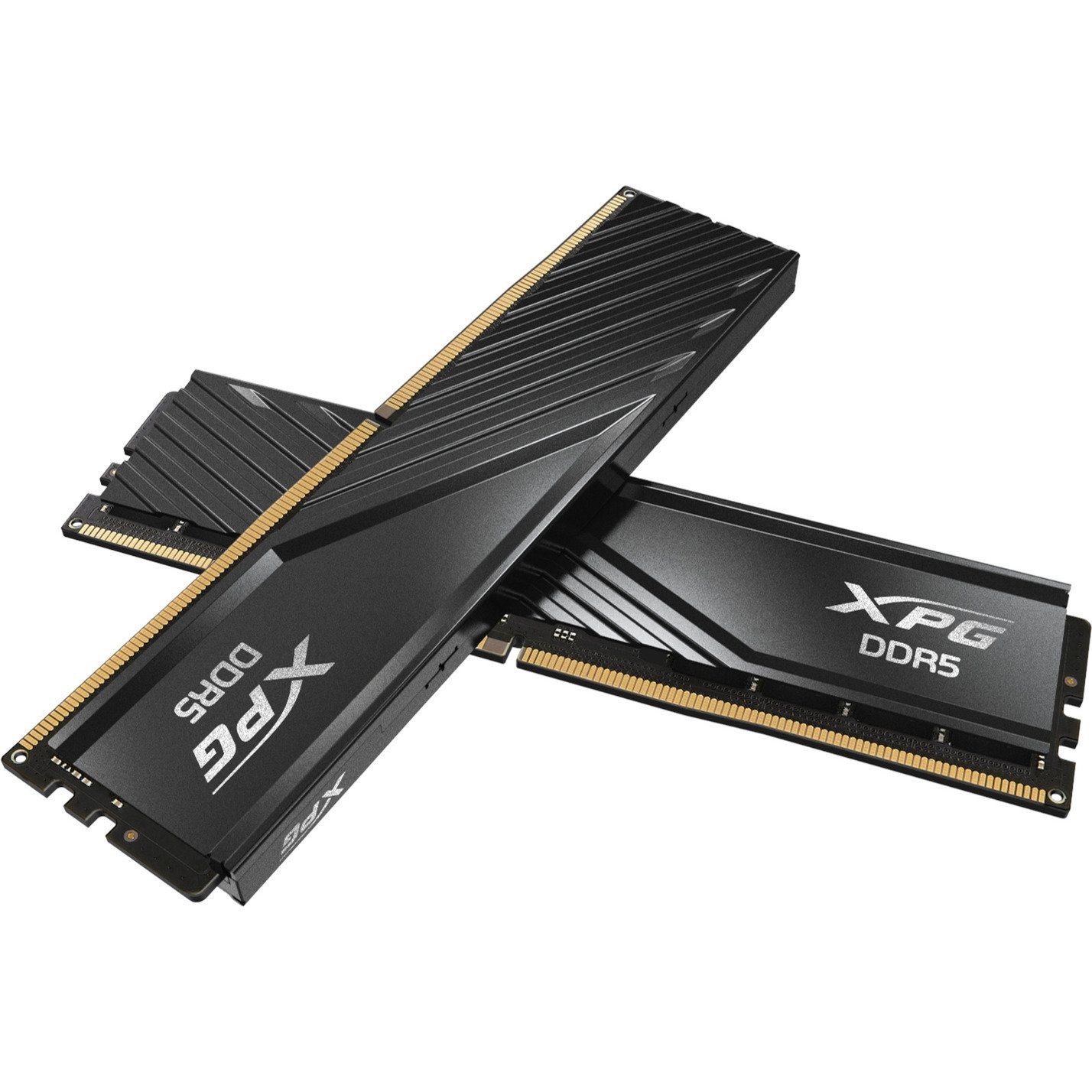 ADATA DIMM DDR5-6000 (2x ) Dual-Kit Negro, 32 GB 32 GB - Imagen 2