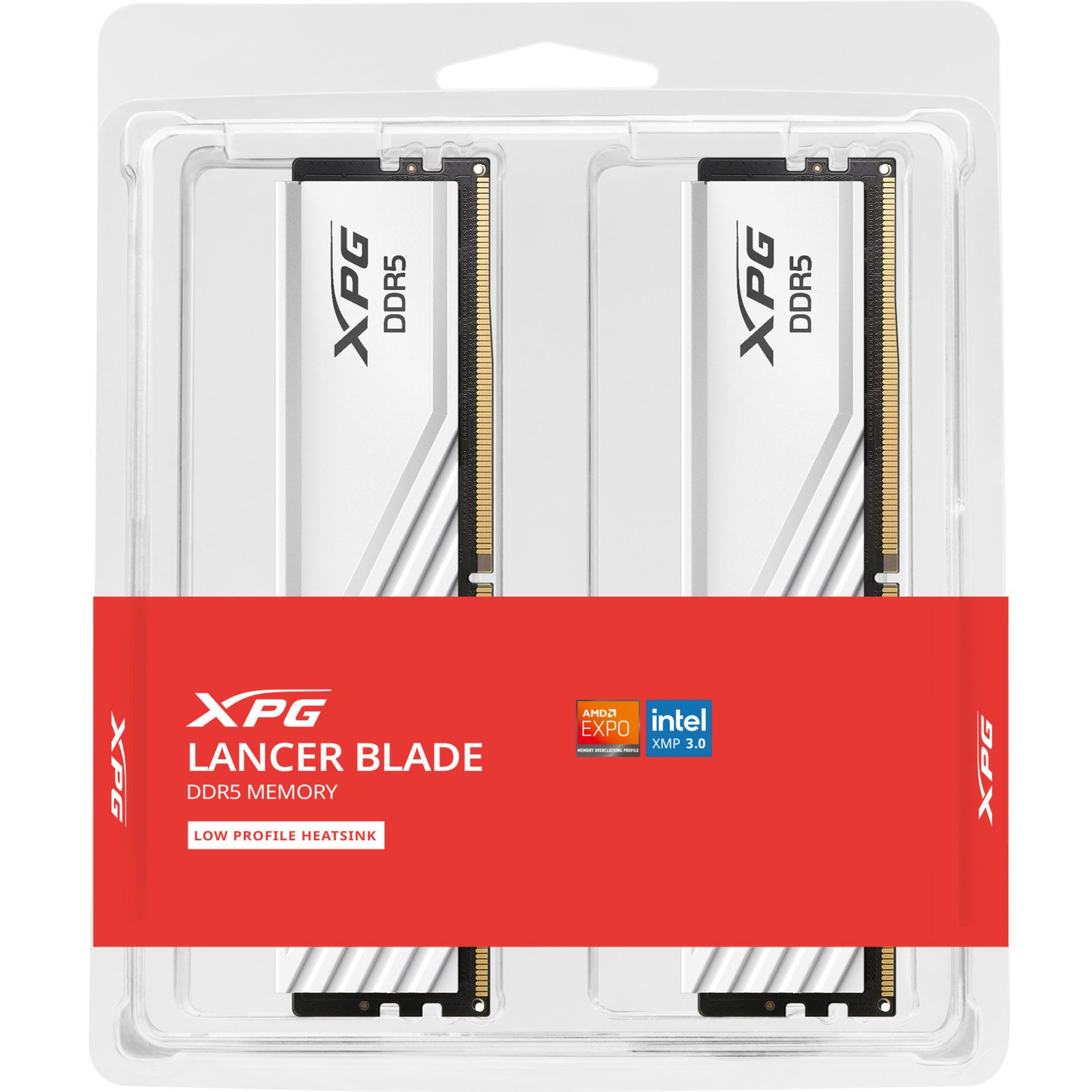 ADATA DIMM DDR5-6000 (2x ) Dual-Kit Blanco, 32 GB 32 GB - Imagen 4