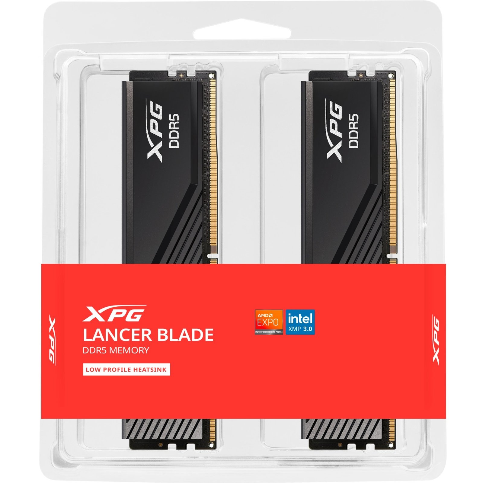 ADATA DIMM DDR5-5600 (2x ) Dual-Kit Negro, 64 GB 64 GB - Imagen 4