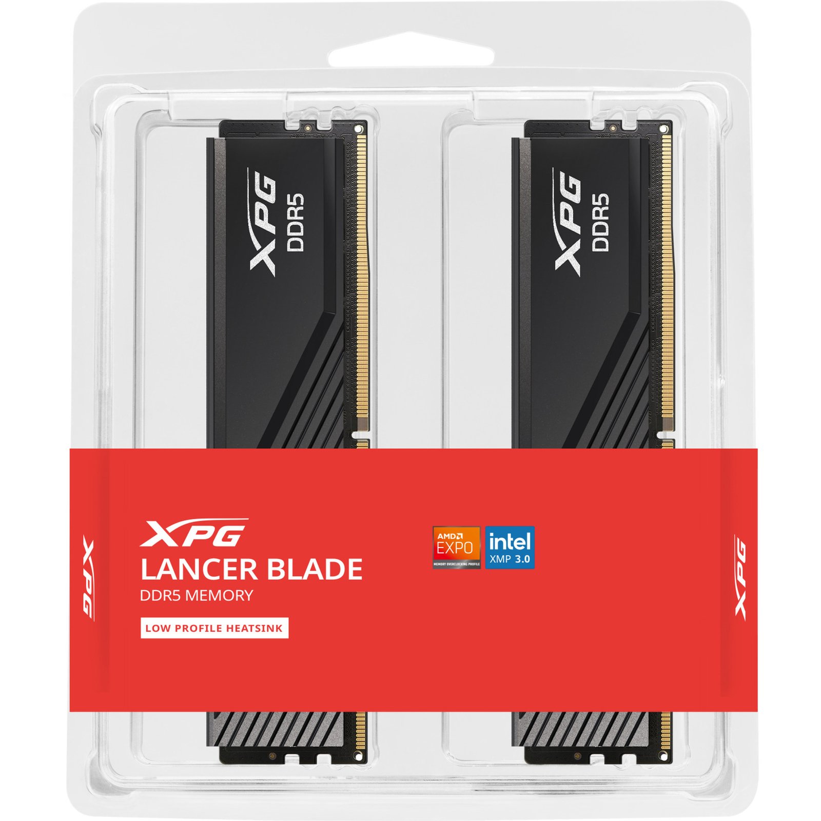 ADATA DIMM DDR5-6000 (2x ) Dual-Kit Negro, 64 GB 64 GB - Imagen 4