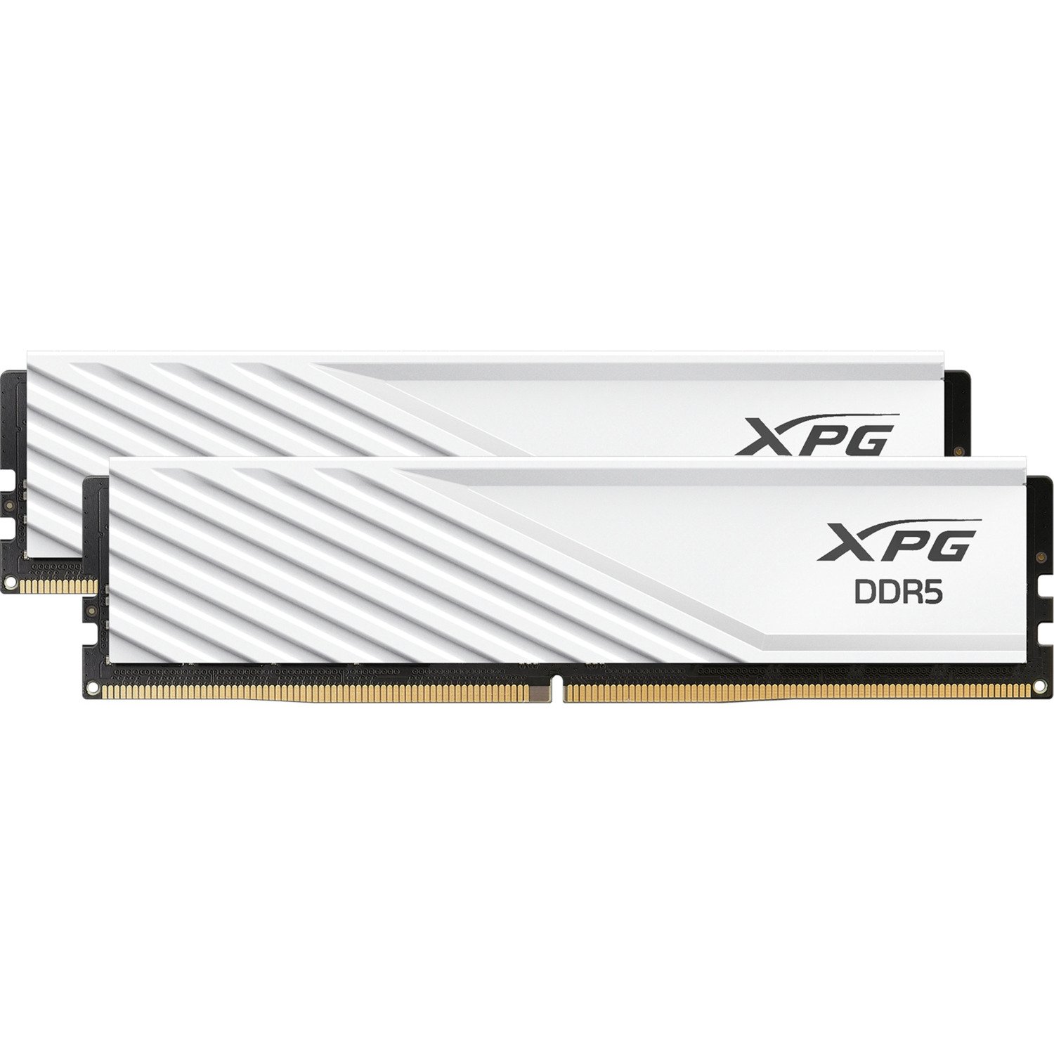 ADATA DIMM DDR5-6000 (2x ) Dual-Kit Blanco, 64 GB 64 GB