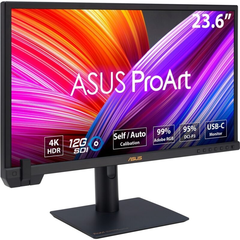 ASUS ProArt PA24US Negro