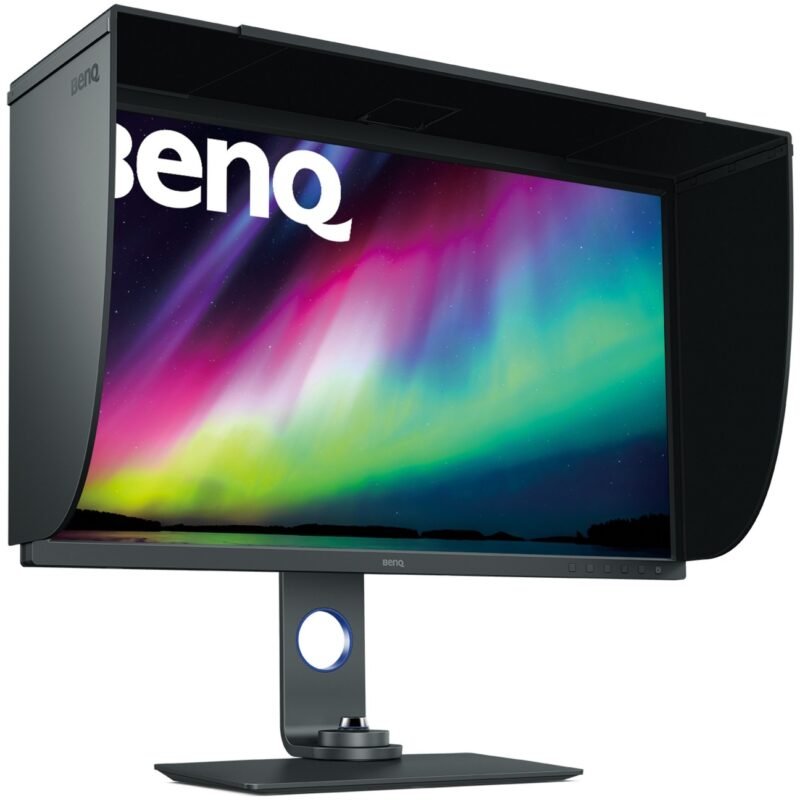 BenQ PhotoVue SW321C Gris