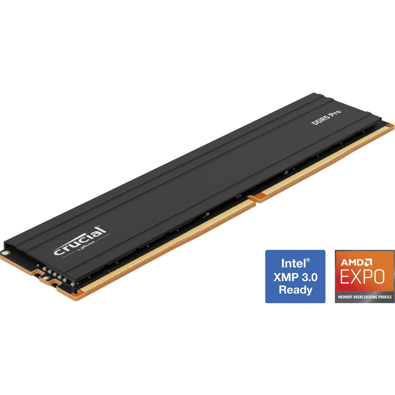 Crucial DIMM DDR5-6000 Negro, 24 GB 24 GB