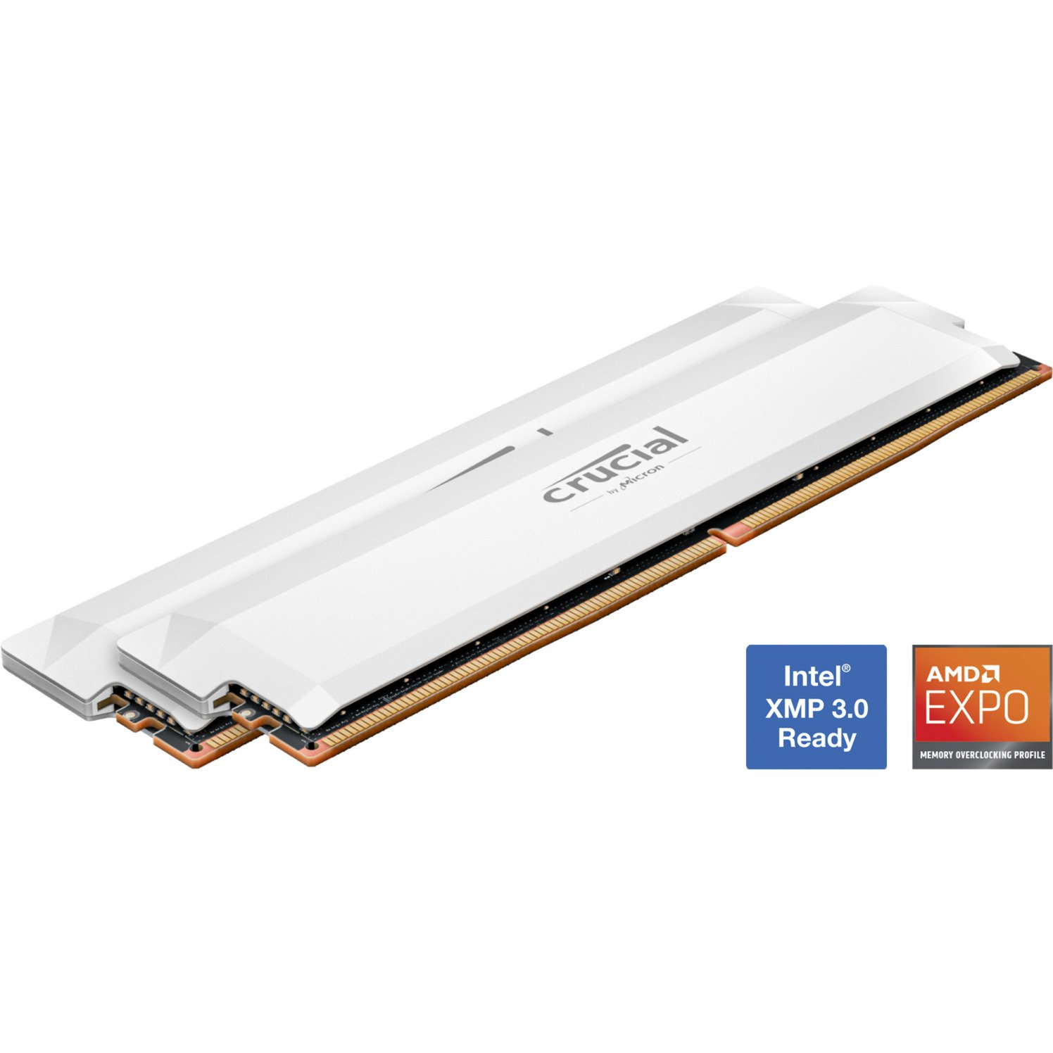 Crucial DIMM DDR5-6000 (2x ) Dual-Kit Blanco, 32 GB 32 GB