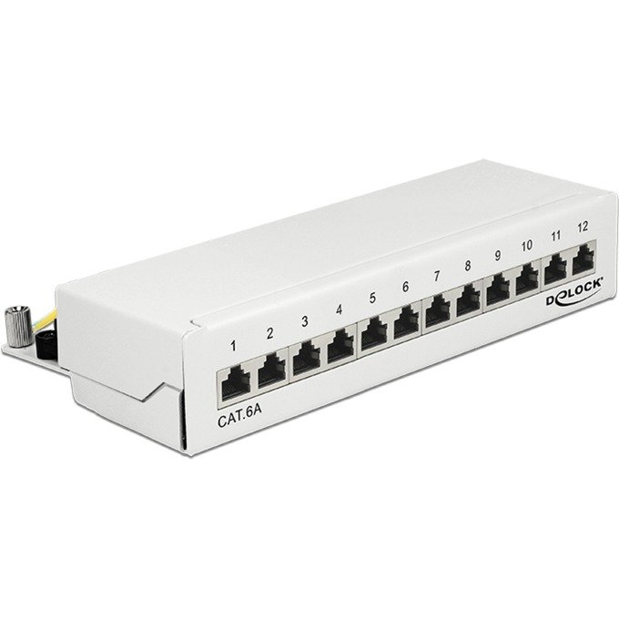 DeLOCK Desktop Patchpanel 12 Port Cat.6a Blanco