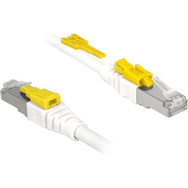 DeLOCK RJ45 Secure Cat. 6A Blanco