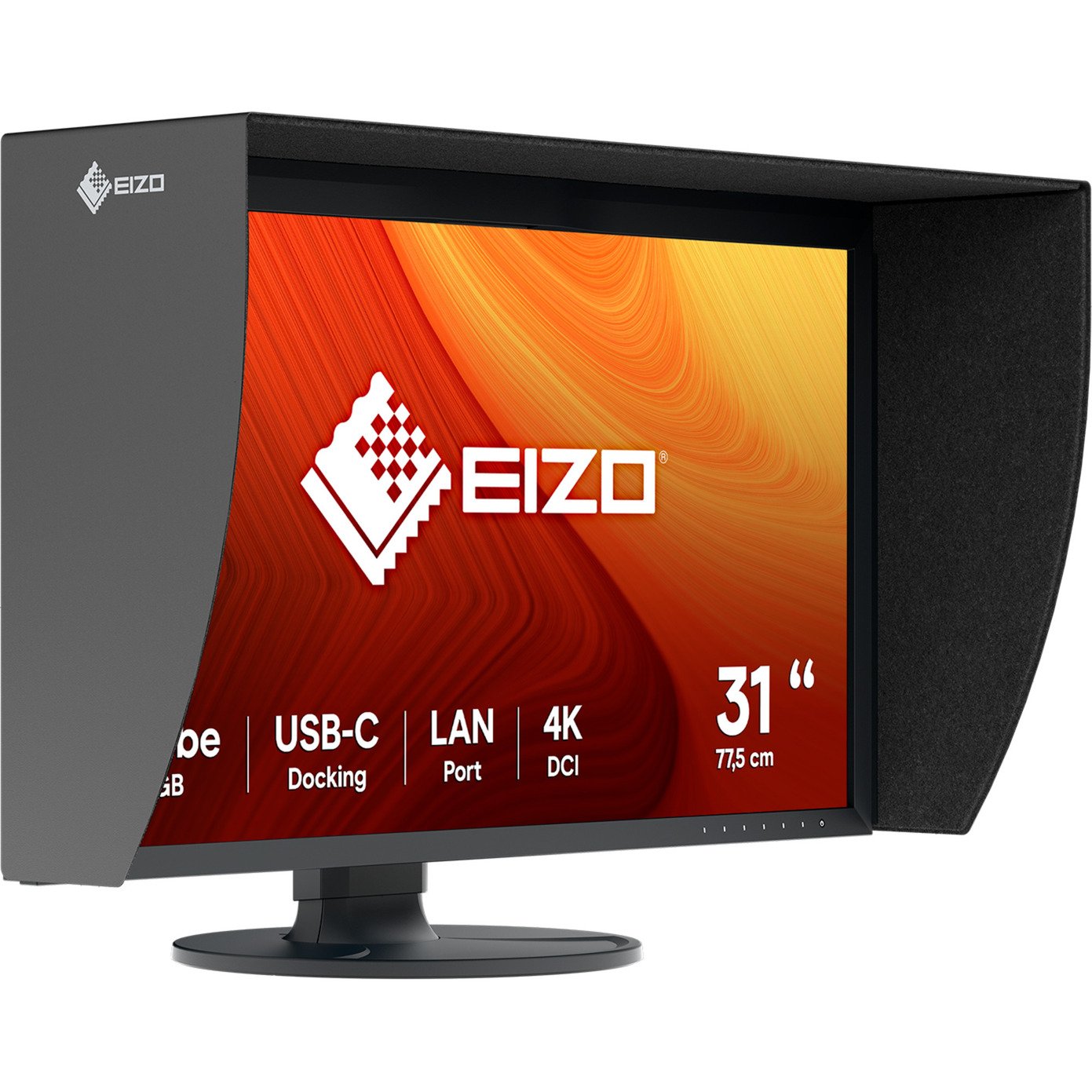 EIZO EIZO CG3100X ColorEdge Negro