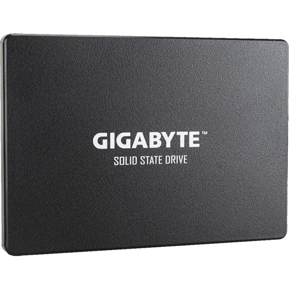 GIGABYTE SSD Negro, 256 GB 6 GB