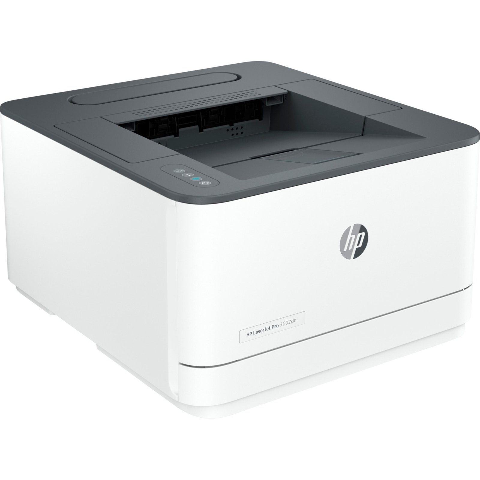 HP LaserJet Pro 3002dn Gris