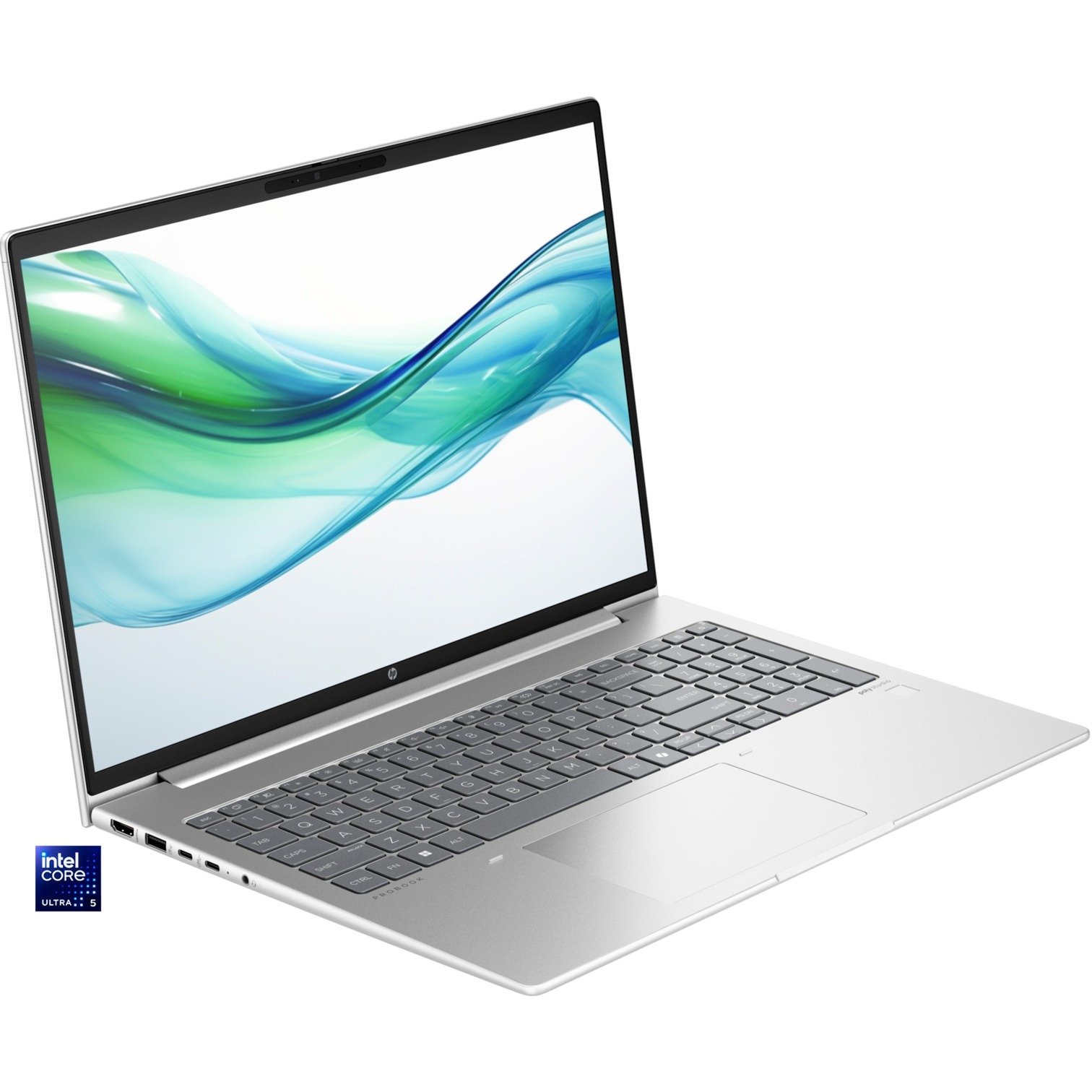 HP ProBook 460 G11 (9C0C5EA) Plata, 512 GB 16 GB