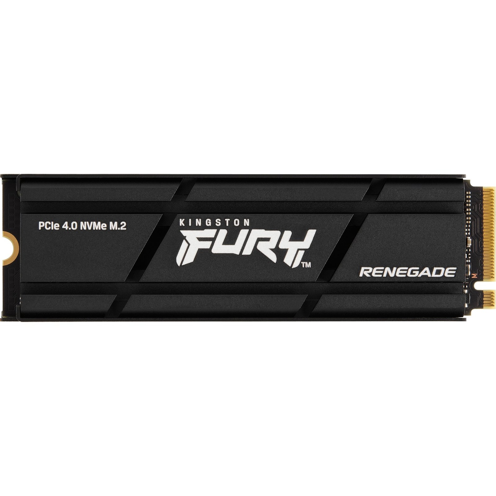 Kingston FURY Renegade Heatsink Negro, 1 TB