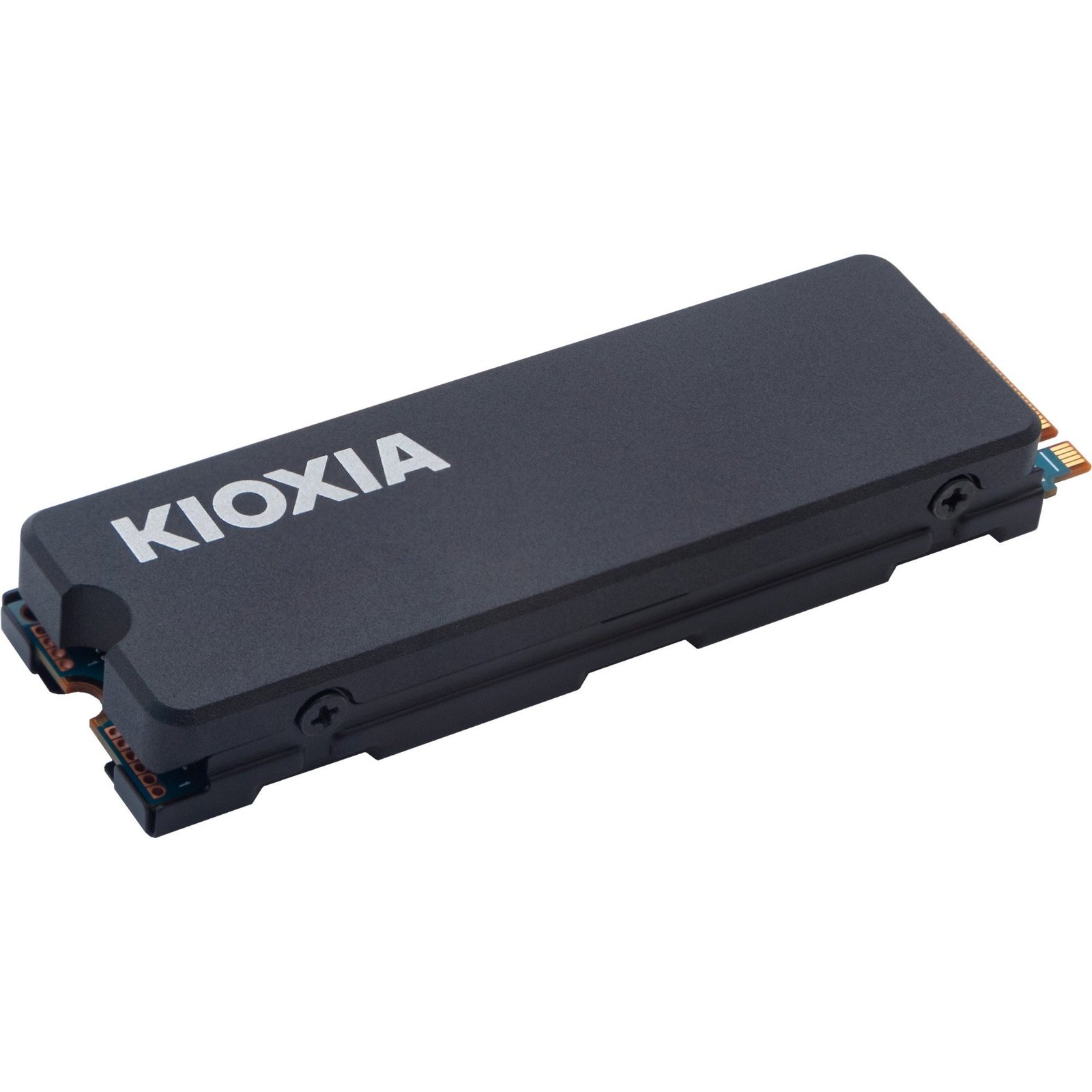 Kioxia Exceria mit Heatsink, 1 TB