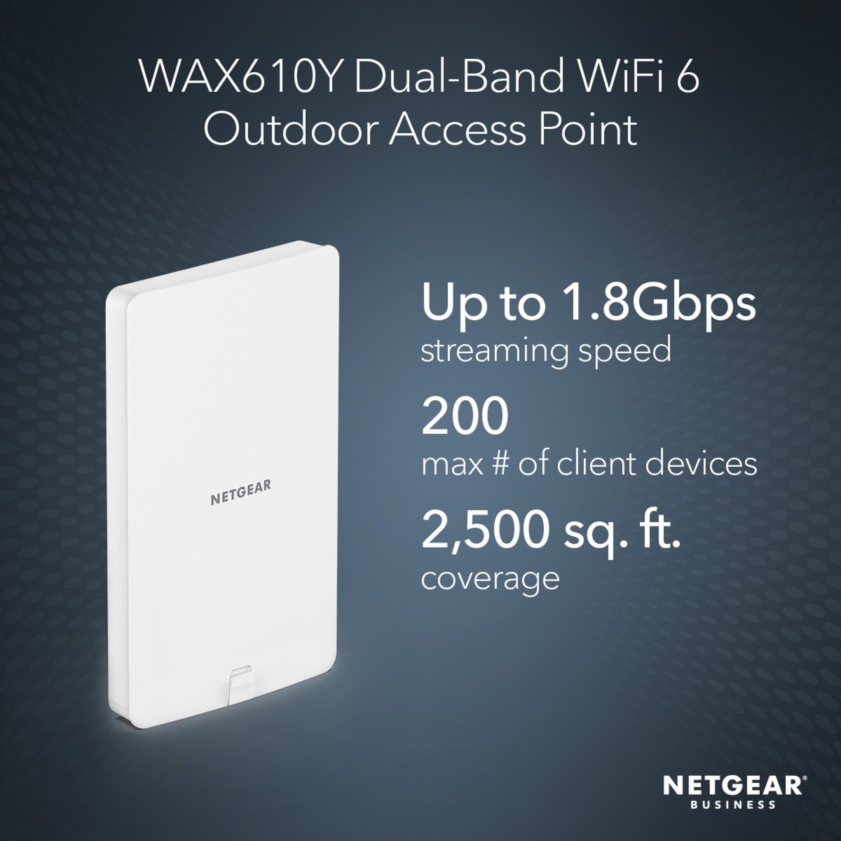 Netgear WAX610Y Blanco