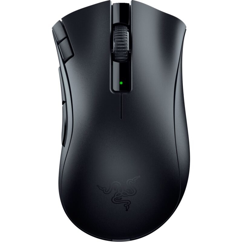 Razer DeathAdder V2 X HyperSpeed Negro