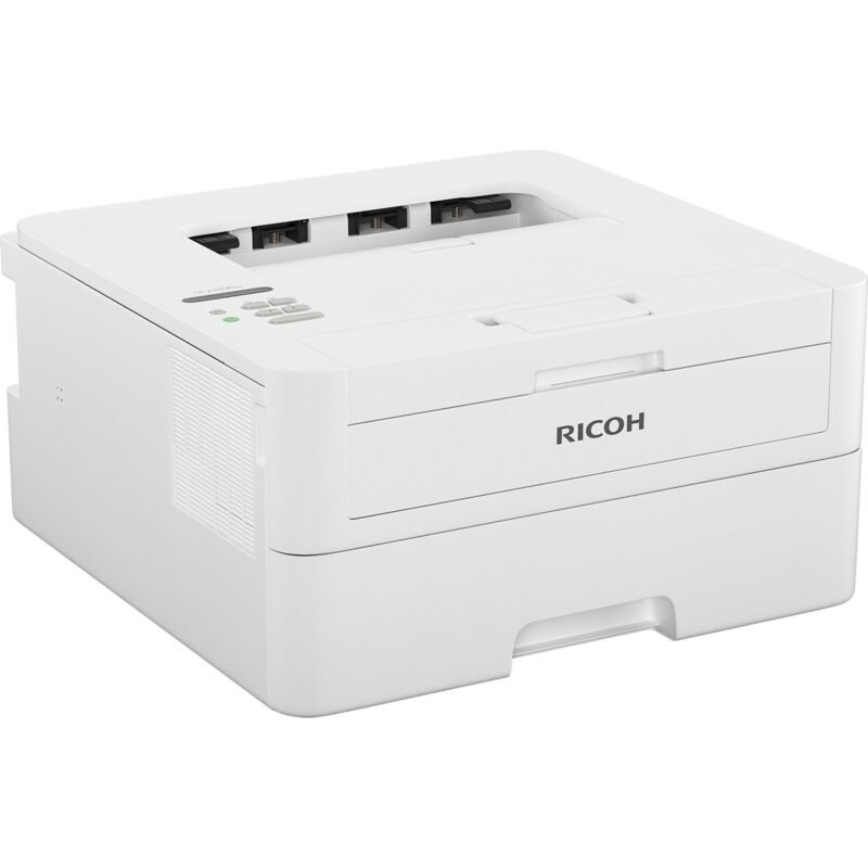 Ricoh SP 230DNw Gris