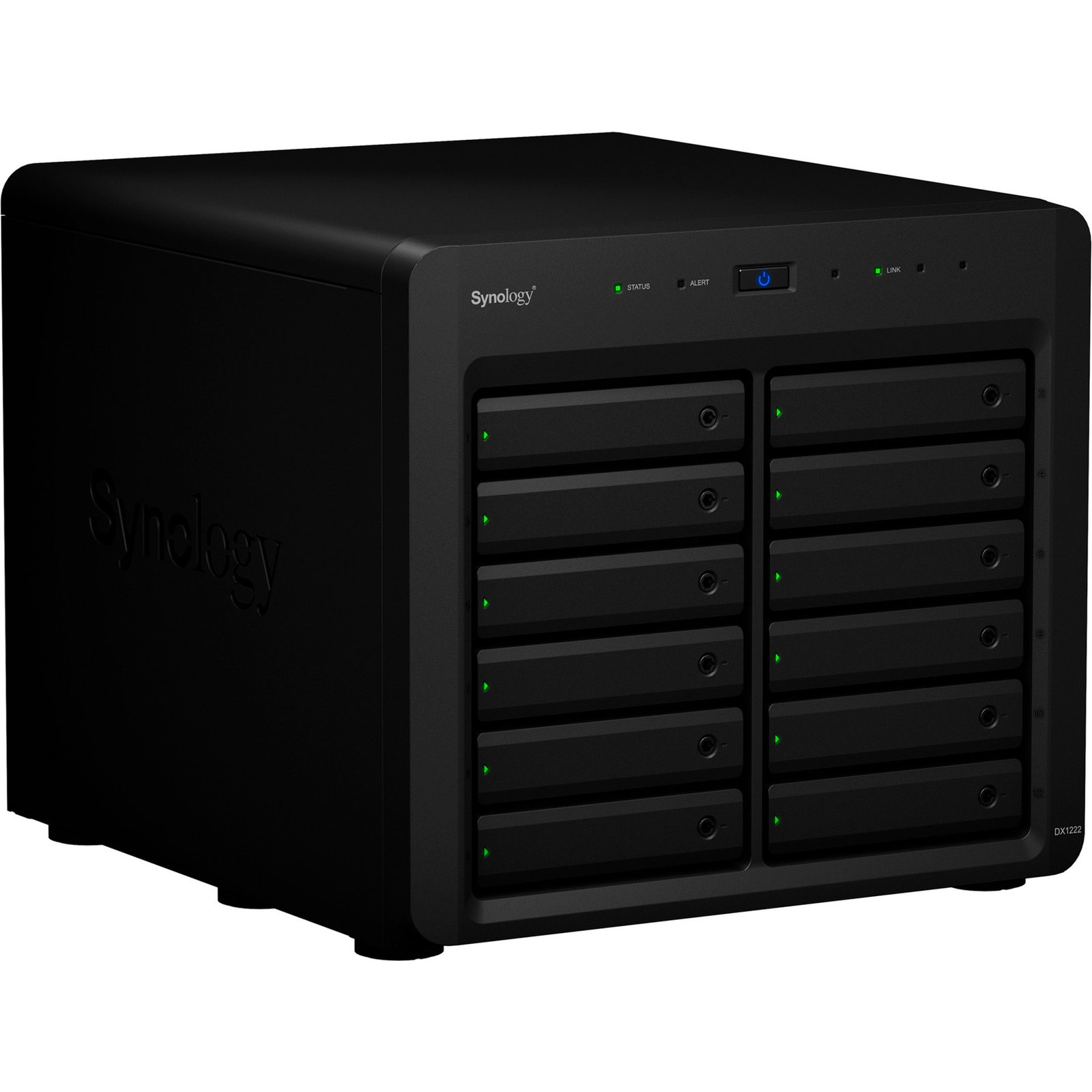 Synology DX1222