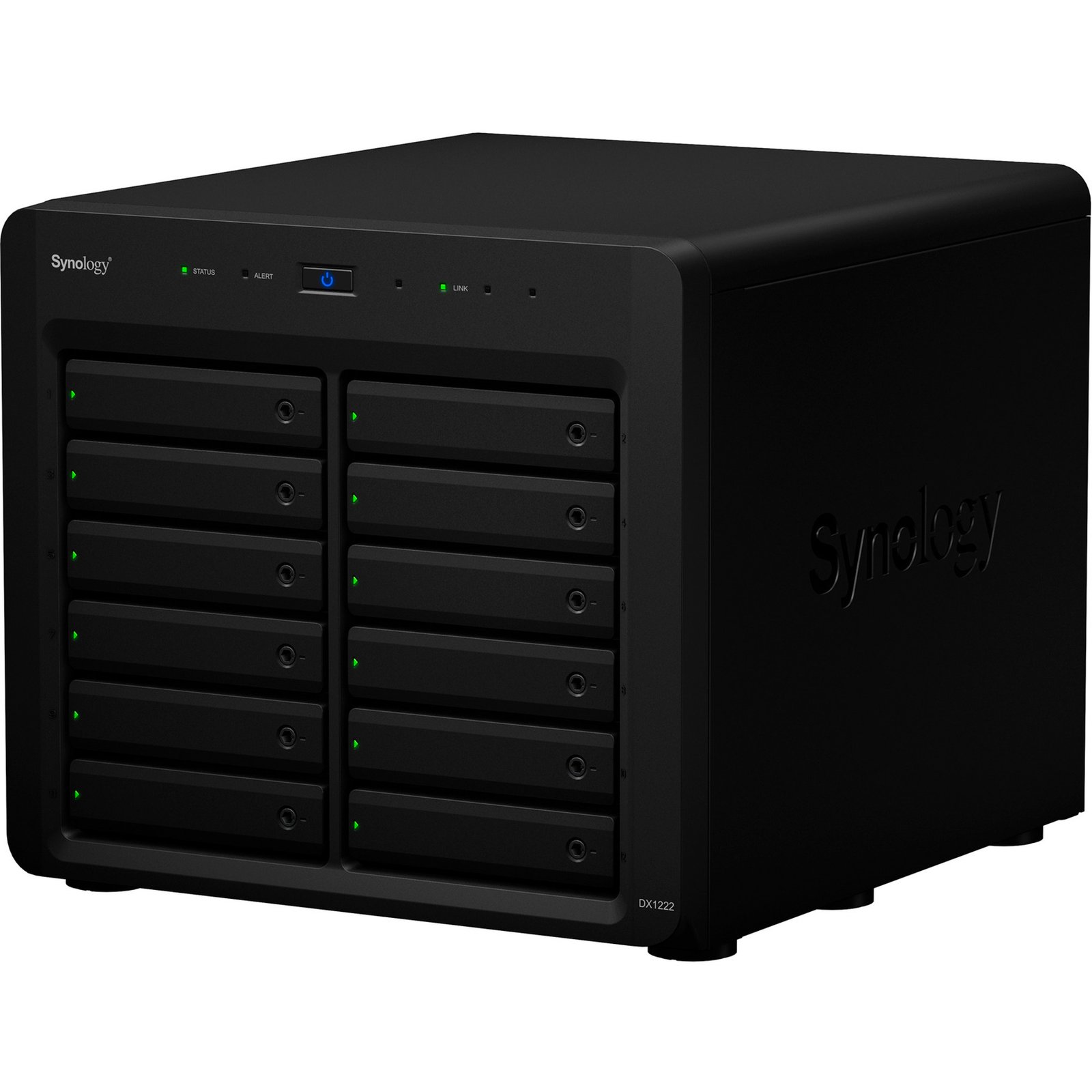 Synology DX1222 - Imagen 3