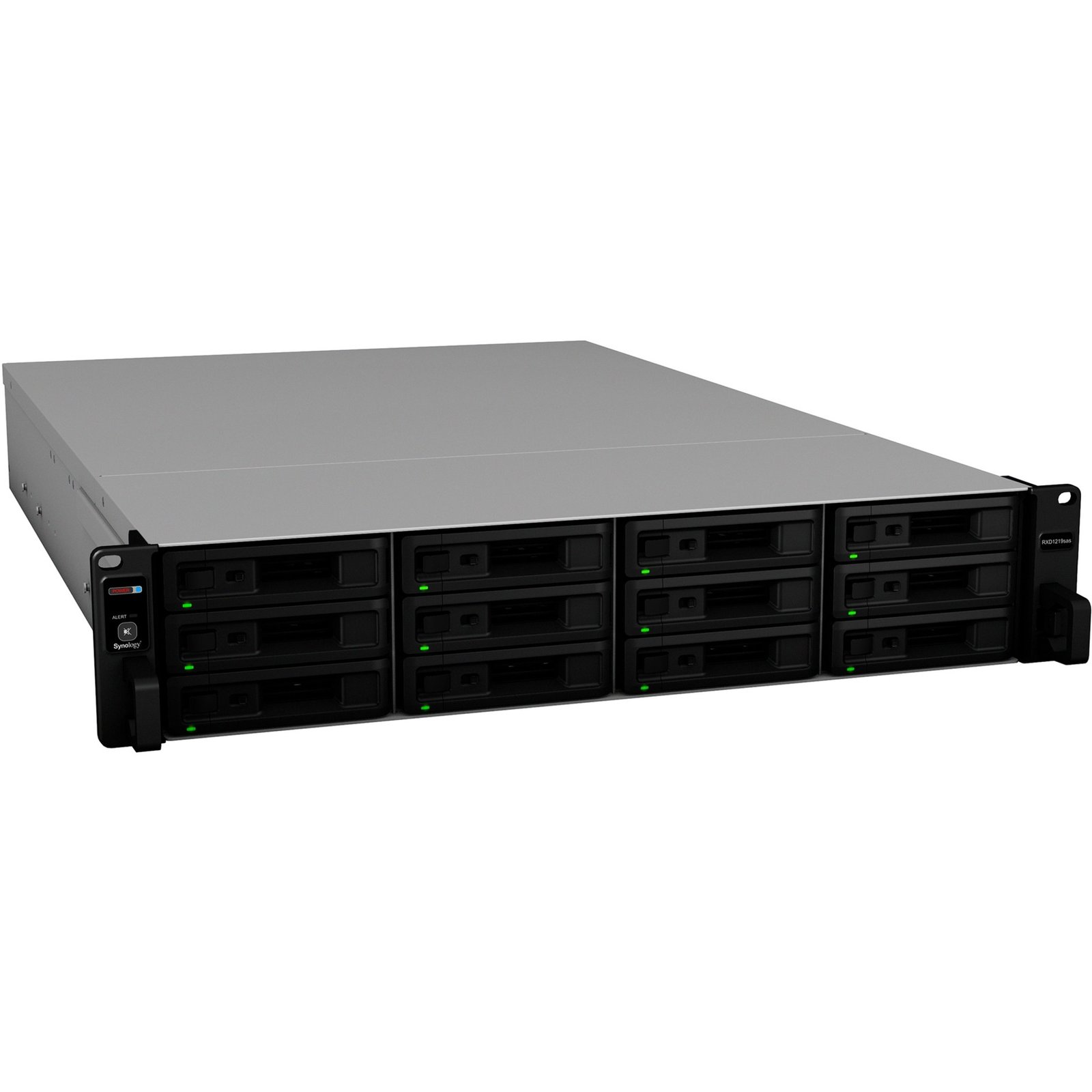 Synology RX1219sas Negro