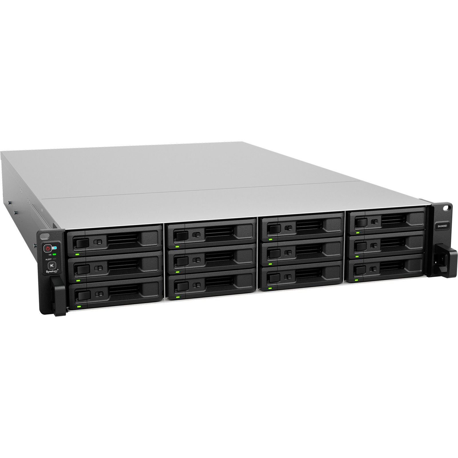 Synology SA3400D SAS