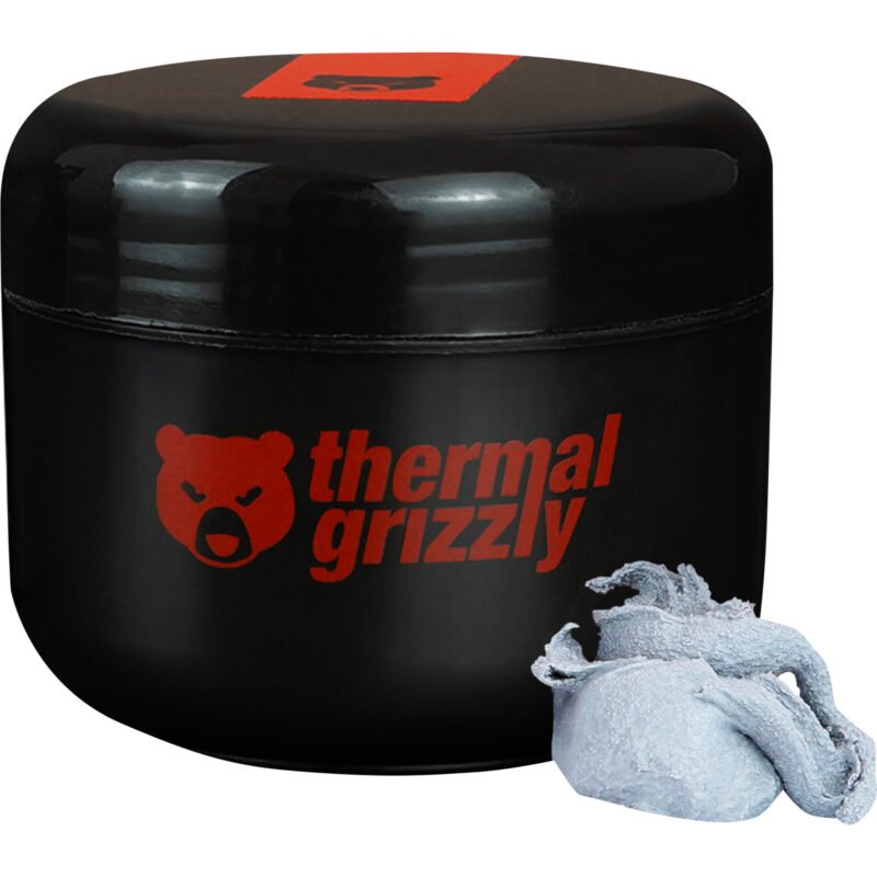 Thermal Grizzly Putty Pro 100g Gris