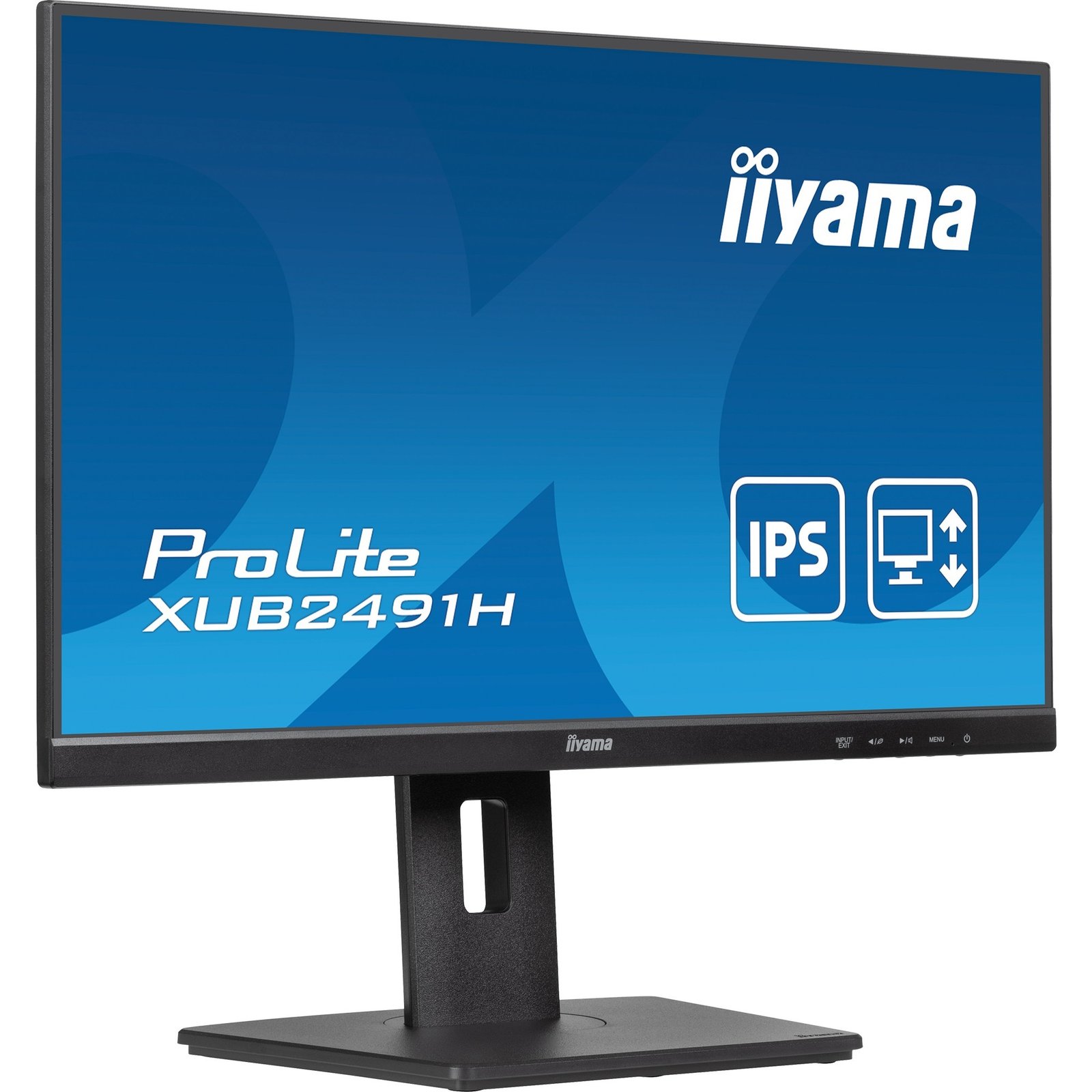 iiyama ProLite XUB2491H-B1 Negro