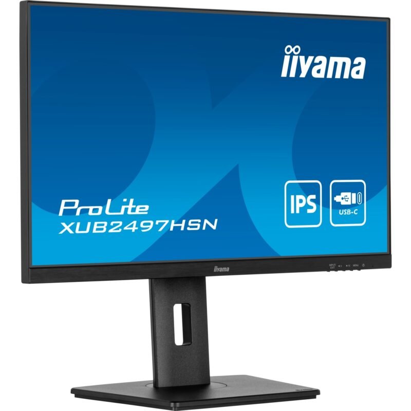 iiyama ProLite XUB2497HSN-B2 Negro