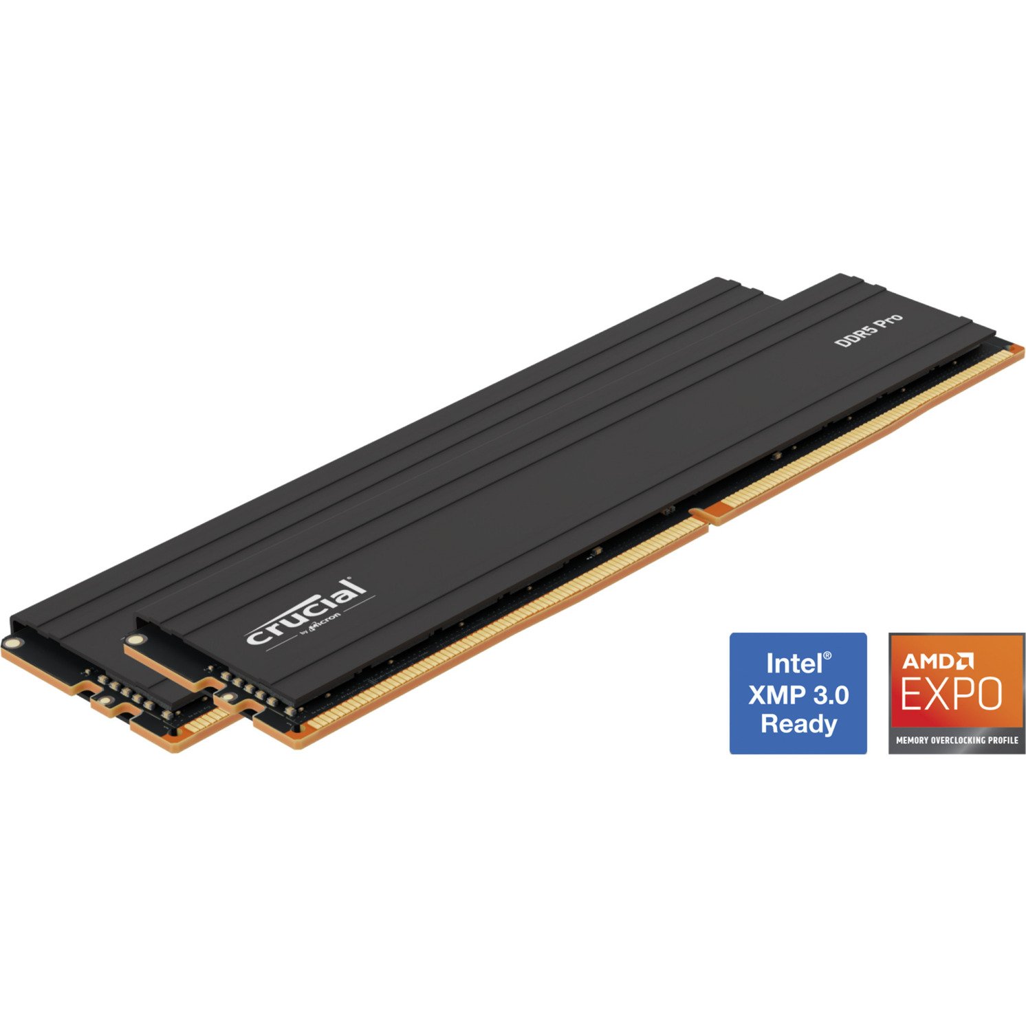 Crucial DIMM DDR5-6000 (2x) Negro, 32 GB