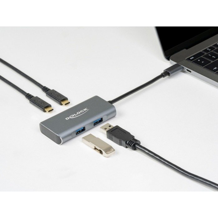 DeLOCK Externer USB 3.2 Gen 2 USB Type-C Hub Gris - Imagen 4