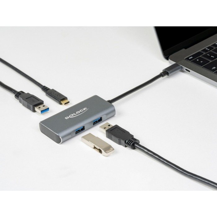 DeLOCK Externer USB 3.2 Gen 2 USB Type-C Hub Gris - Imagen 4