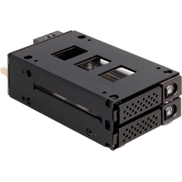 DeLOCK Slim Bay Wechselrahmen para 2 x 2.5″ U.2 NVMe SSD