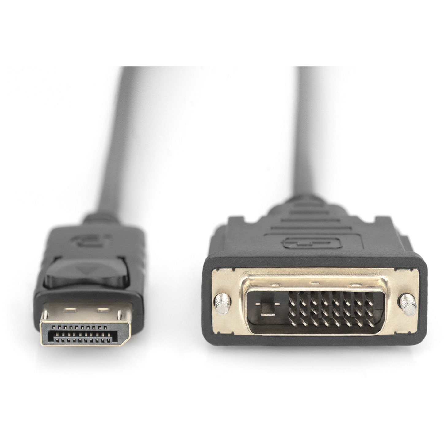 Digitus Adapterkabel DisplayPort > DVI-D Negro - Imagen 2