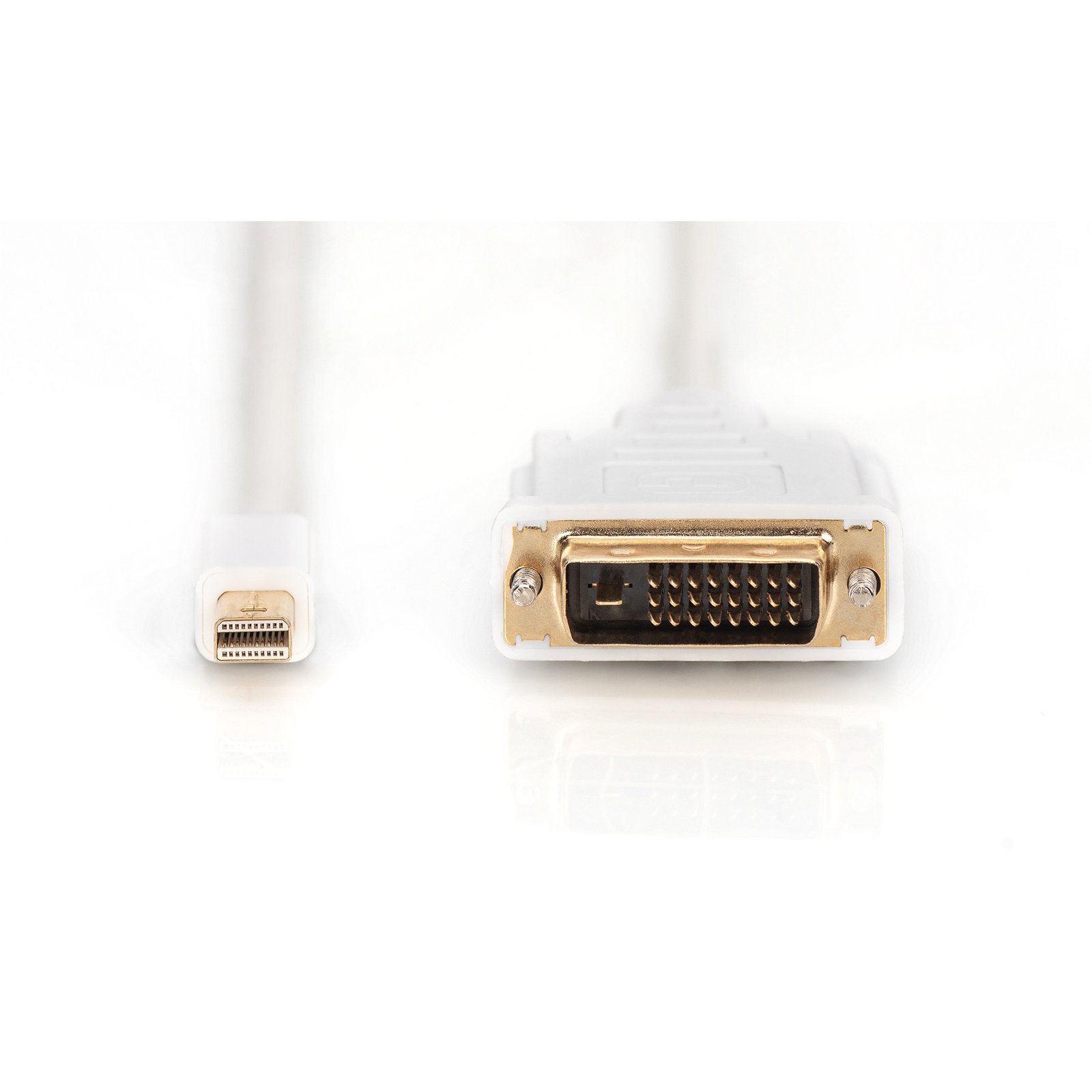 Digitus Adapterkabel mini-DisplayPort > DVI-D Blanco - Imagen 2