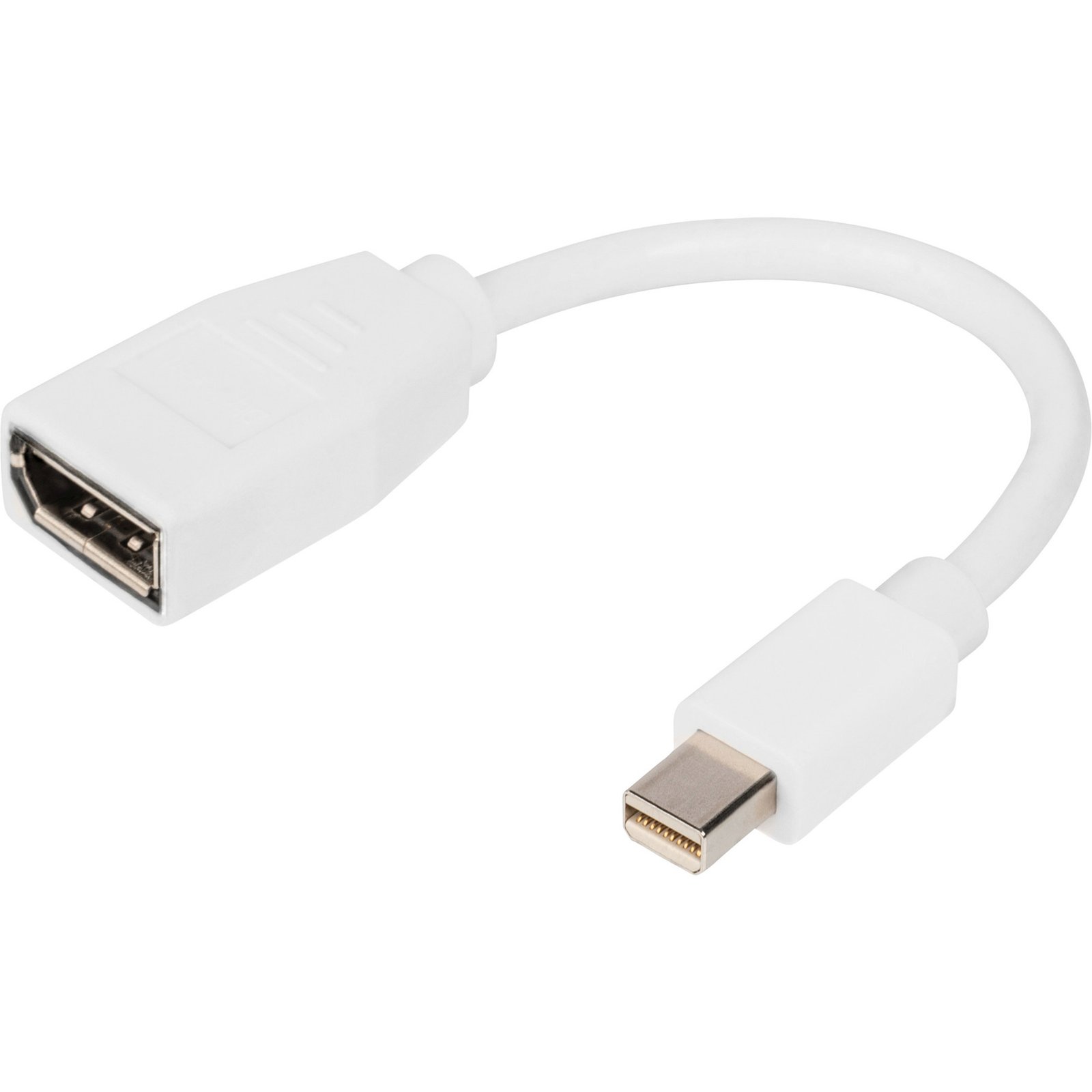 Digitus DisplayPort Adapterkabel Blanco
