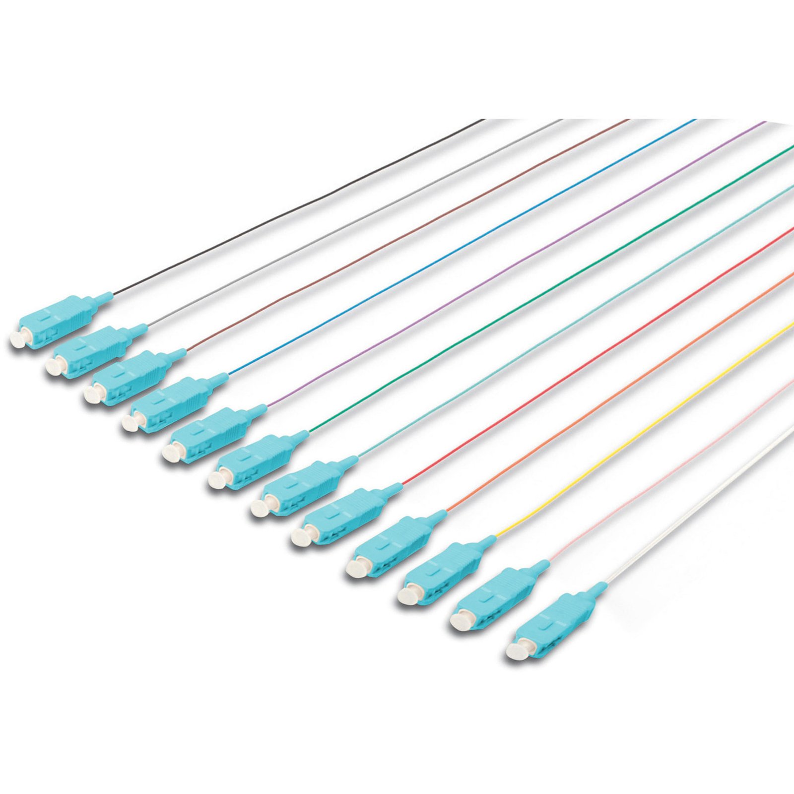 Digitus Keystone-Gehäuse para Hutschienen Montage Blanco - Imagen 4
