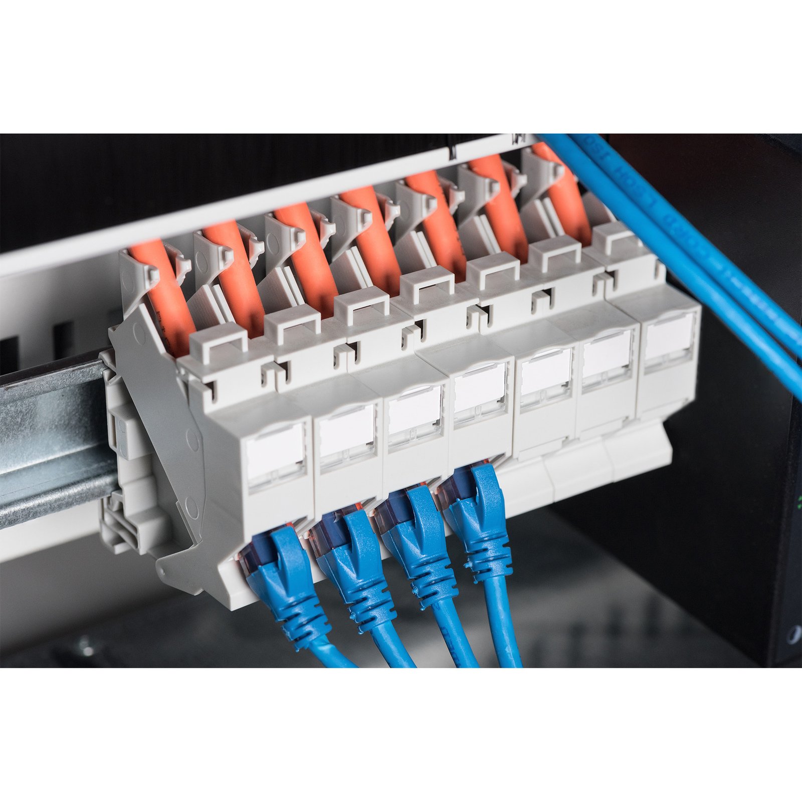 Digitus Keystone-Gehäuse para Hutschienen Montage Blanco - Imagen 5