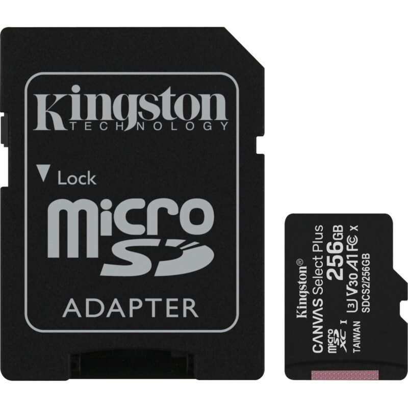 Kingston R100 microSDXC Negro, 256 GB