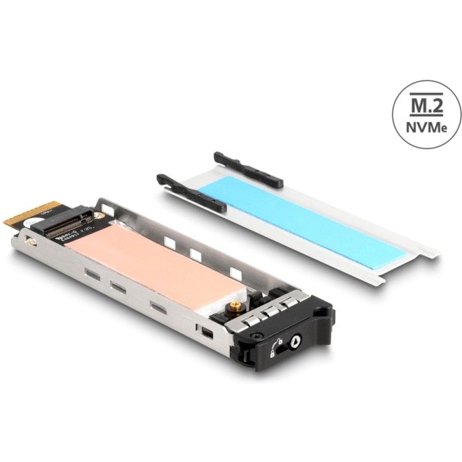 DeLOCK Wechselrahmen Einschub 1 x M.2 NMVe SSD para 47028
