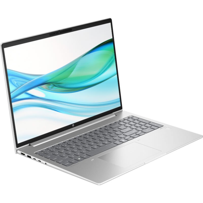 HP ProBook 460 G11 (D05CVES) Plata