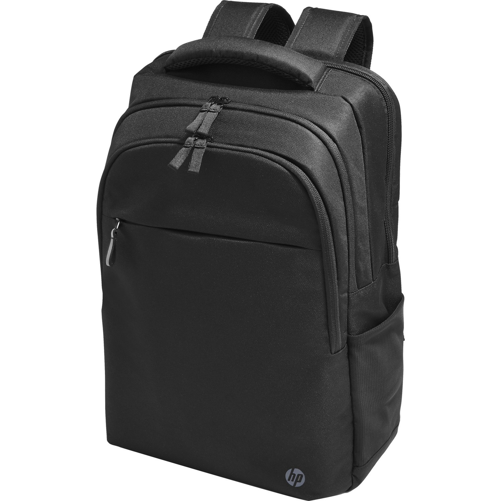 HP Professional 17 Negro