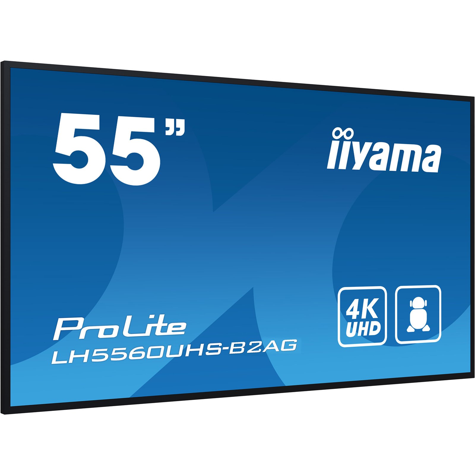 iiyama ProLite LH5560UHS-B2AG Negro