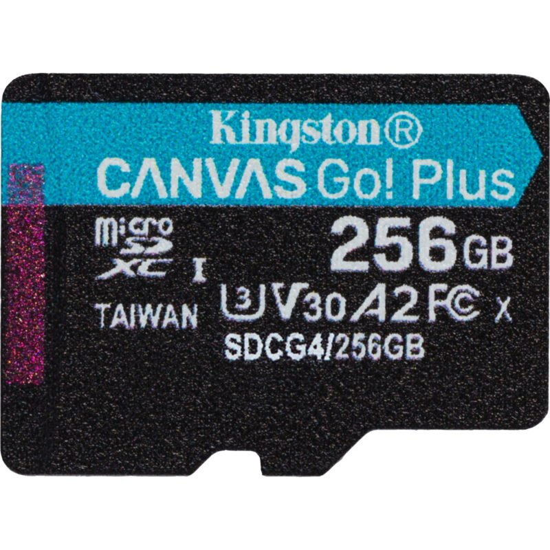 Kingston Canvas Go! Plus microSDXC Negro
