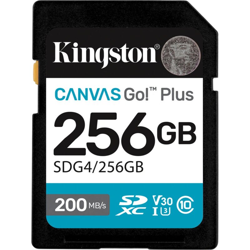 Kingston Canvas Go! Plus SDXC Negro