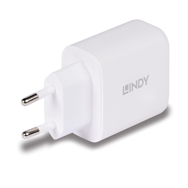 Lindy Cargador 65 Watt USB-A & C GaN Charger Blanco