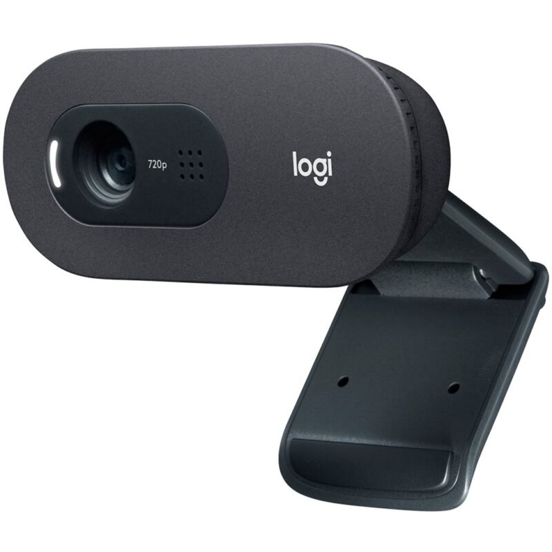 Logitech C505e Negro