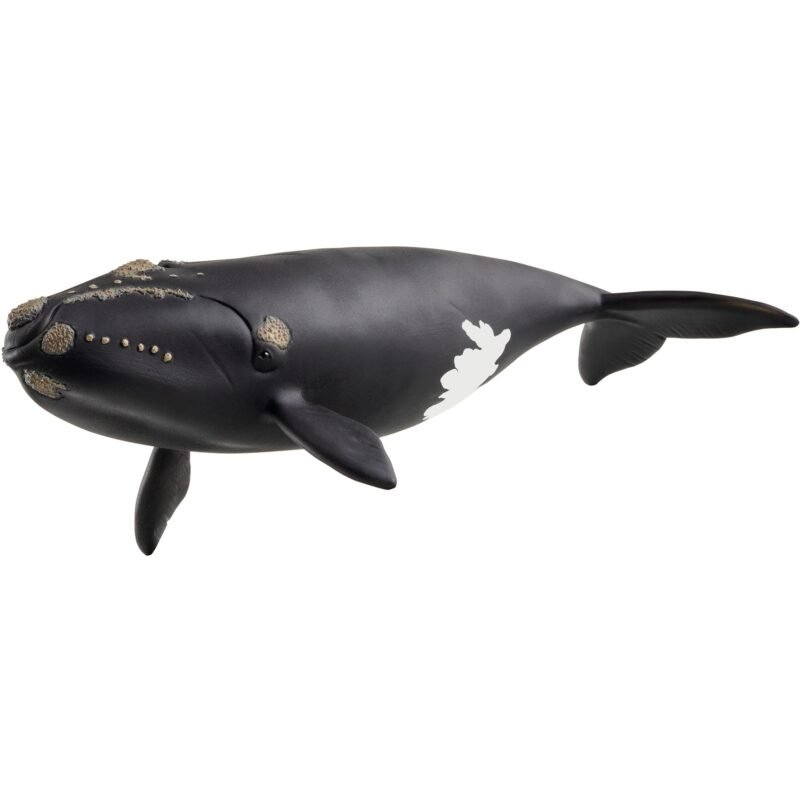 Schleich Wild Life Nordatlantischer Glattwal